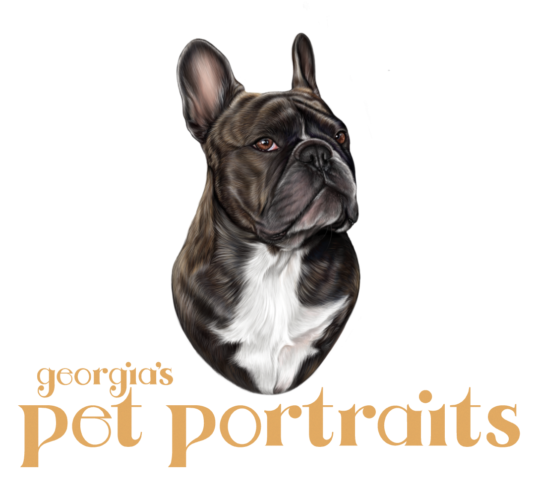 Georgia’s Pet Portraits